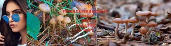 первитин Бородино